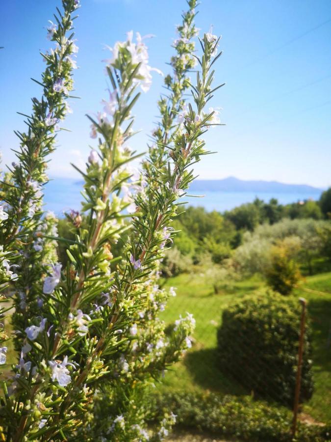 Appartamento Apartman Marijeta Mošćenička Draga Esterno foto