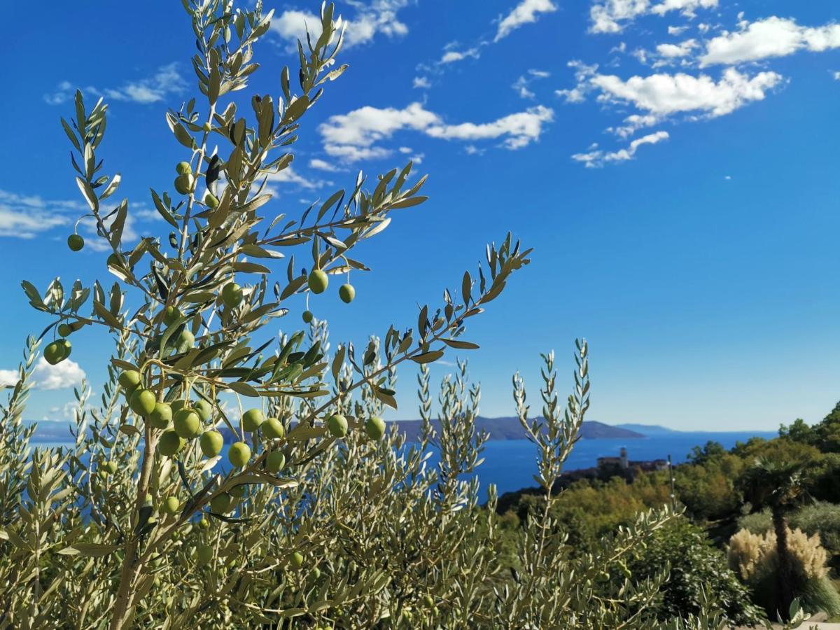 Appartamento Apartman Marijeta Mošćenička Draga Esterno foto